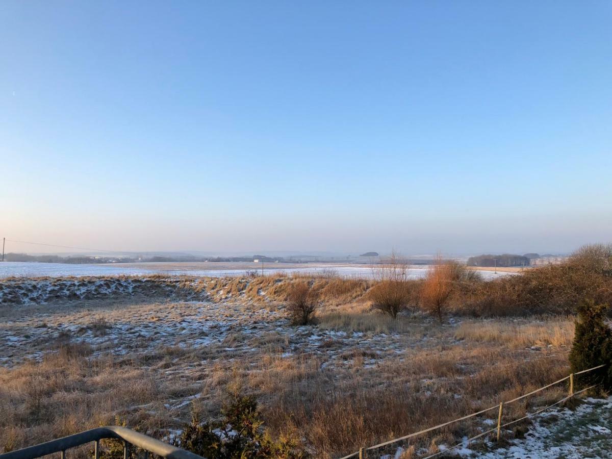 Ferienwohnung "Kranich" Im Ferien-Resort Ruegen 萨嘎德 外观 照片